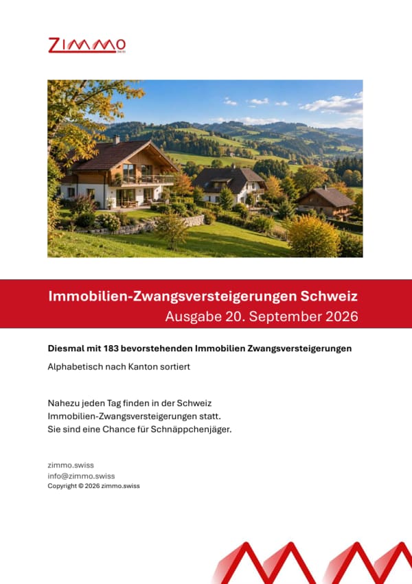 Immobilie in Romanshorn - Charmante 7-Zimmer-Dachgeschosswohnung in Romanshorn - Bild 7