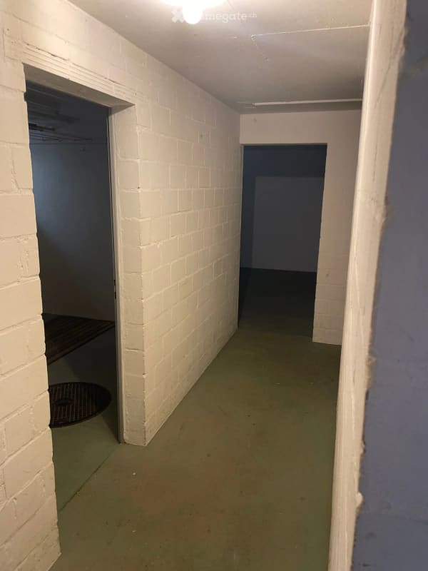 Immobilie in Böbikon - 5.5 Zimmer Einfamilienhaus in Böbikon - Bild 16