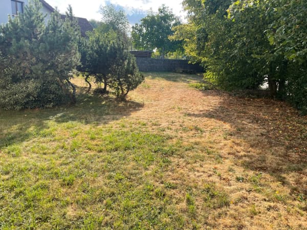Immobilie in Böbikon - 5.5 Zimmer Einfamilienhaus in Böbikon - Bild 24
