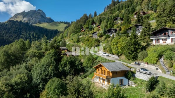Immobilie in Moléson-sur-gruyères - Chalet soigné dans un cadre d'exception à vendre à Moléson-sur-Gruyères - Bild 0