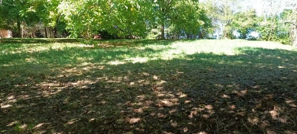 Immobilie in Vuarmarens - Appartement Ã  vendre : Une oasis au coeur de la campagne fribourgeoise - Bild 8