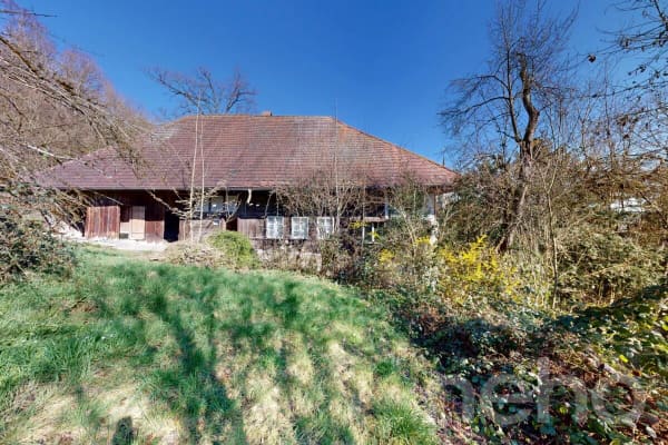 Immobilie in Villmergen - Historisches Doppeleinfamilienhaus am Waldrand mit Ausbaupotenzial - Bild 10