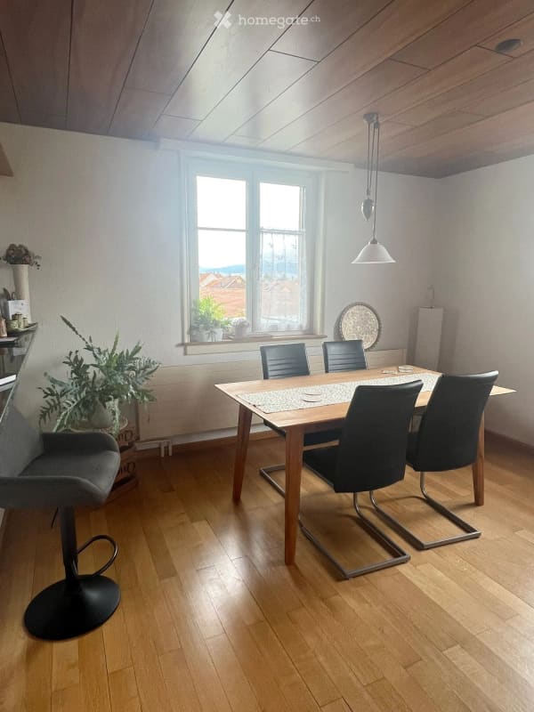 Immobilie in Trasadingen - Trasadingen: EFH mit Charme und Panoramablick - Bild 18