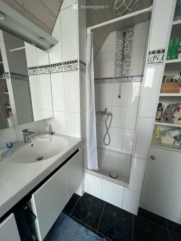 Immobilie in Trasadingen - Trasadingen: EFH mit Charme und Panoramablick - Bild 29
