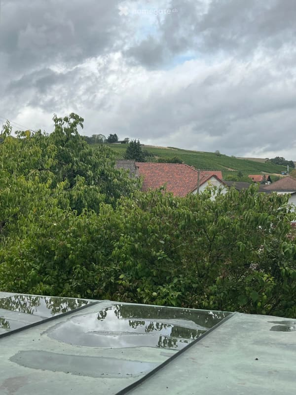 Immobilie in Trasadingen - Trasadingen: EFH mit Charme und Panoramablick - Bild 7
