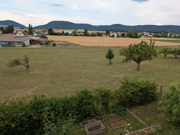 Immobilie in Trasadingen - Trasadingen: EFH mit Charme und Panoramablick - Bild 8