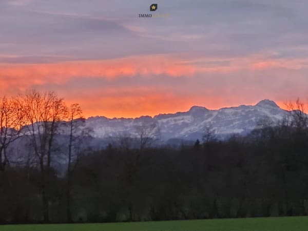 Immobilie in Langrickenbach - Attikawohnung mit viel Freiraum & beeindruckendem Blick auf den Säntis - Bild 12
