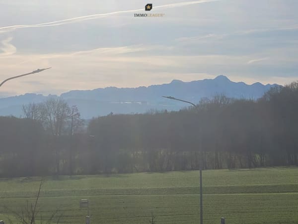 Immobilie in Langrickenbach - Attikawohnung mit viel Freiraum & beeindruckendem Blick auf den Säntis - Bild 9