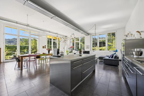 Immobilie in Rämismühle - Einmaliges Loft mit Umschwung - Bild 3