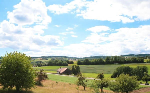 Immobilie in Carrouge Vd - TrÃ¨s beau 3.5 PiÃ¨ces avec grand balcon et magnifique vue campagne - Bild 3