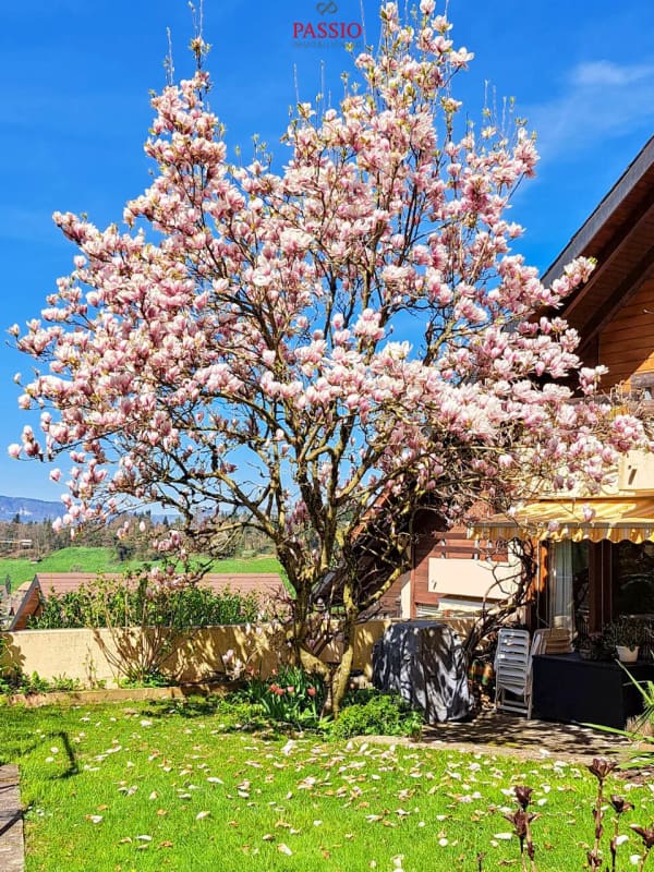 Immobilie in Heimberg - Grosses 10-Zimmer Reiheneckhaus mit Gartenparadies an Top Lage - Bild 3