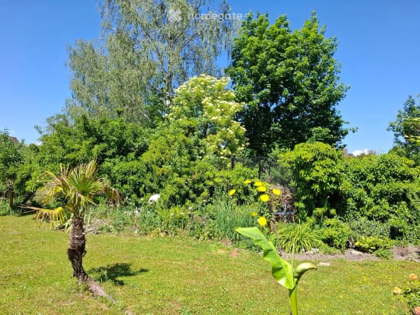 Immobilie in Elsau - Einfamilienhaus (Liebhaberobjekt) an ruhiger Lage, GrundstÃ¼ck 710m2 - Bild 4