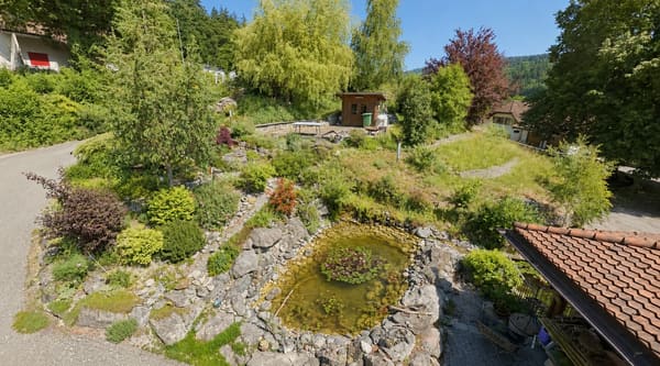 Immobilie in Teufenthal Ag - LUXUS, NATUR & PRIVATSPHÃ„RE AN ERHÃ–HTER LAGE - Bild 3