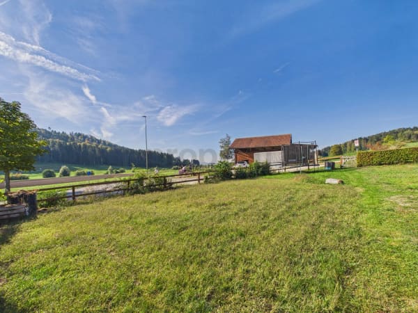 Immobilie in Madetswil - SÃ¼dwest-Terrasse (22 mÂ²), FernwÃ¤rme, Garagenbox, Aussenparkplatz & Eigener GemÃ¼segarten in Madetswil! - Bild 11
