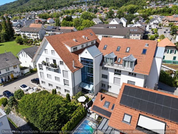 Immobilie in Hägendorf - Eigenheim oder Investment – Sie entscheiden - Bild 1