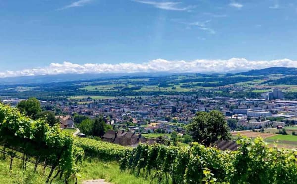 Immobilie in Weinfelden - 200 mÂ² | 5.5-Zi.-Wohnung im EG | Erstbezug - Bild 4