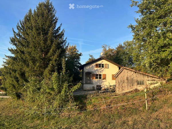 Immobilie in Hendschiken - Einfamilienhaus auf dem Land - Bild 0
