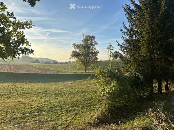 Immobilie in Hendschiken - Einfamilienhaus auf dem Land - Bild 1