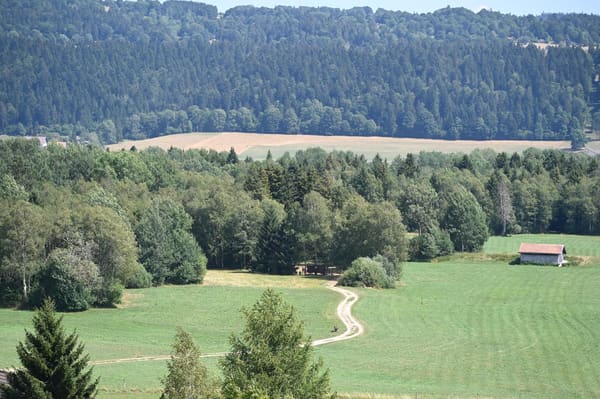 Immobilie in Les Ponts-de-martel - Appartement attique lumineux avec terrasse panoramique à Les Ponts-de-Martel - Bild 1