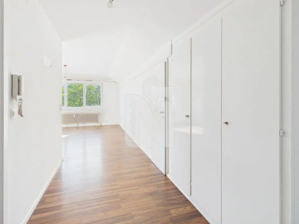 Immobilie in Aesch Bl - 1-Zimmer-Wohnung mit schöner Aussicht, grossem Parkplatz und Ausbauoptionen - Bild 1