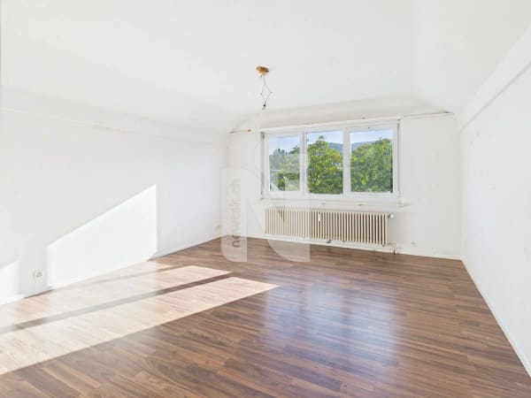 Immobilie in Aesch Bl - 1-Zimmer-Wohnung mit schöner Aussicht, grossem Parkplatz und Ausbauoptionen - Bild 3