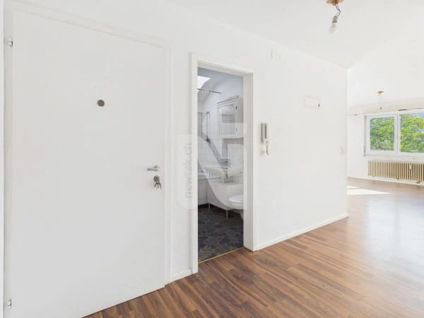 Immobilie in Aesch Bl - 1-Zimmer-Wohnung mit schöner Aussicht, grossem Parkplatz und Ausbauoptionen - Bild 4
