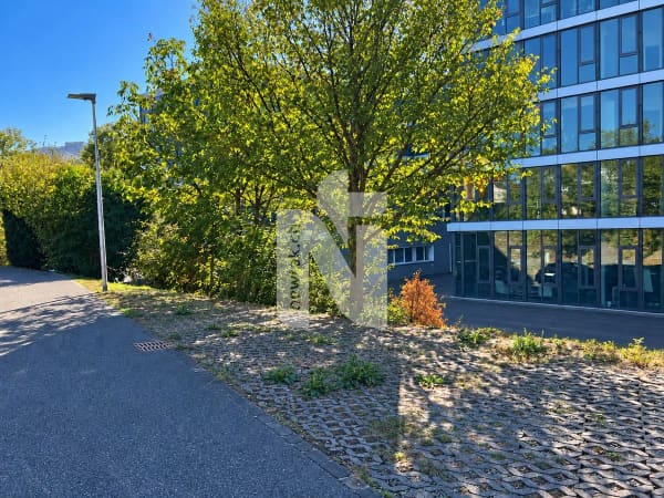 Immobilie in Aesch Bl - 1-Zimmer-Wohnung mit schöner Aussicht, grossem Parkplatz und Ausbauoptionen - Bild 8