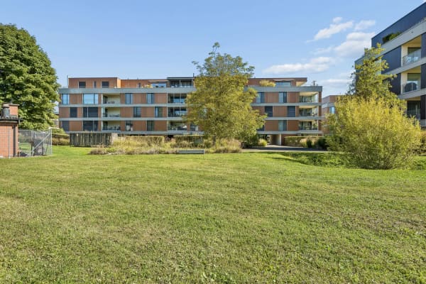 Immobilie in Hagendorn - Licht, Raum und Ruhe - Ihre WohlfÃ¼hloase in Hagendorn ZG - Bild 1