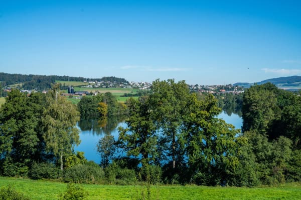 Immobilie in St. Erhard - topmoderne Eigentumswohnung in der neuen Ãœberbauung am-wiberg.ch - Bild 4