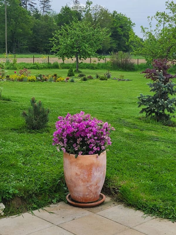 Immobilie in Bure - Le Paradis â€“ 6.5-Zimmer-Doppelhaus mit Hallenbad & 2'073 mÂ² Garten im Jura - Bild 11