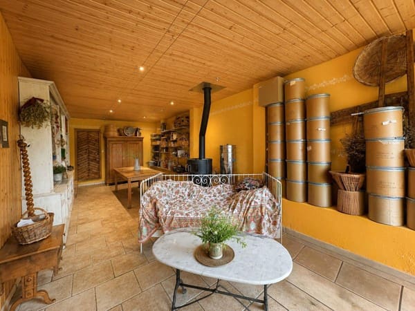 Immobilie in Promasens - Magnifique ferme villageoise de 8.5 piÃ¨ces, au fort potentiel - Bild 6