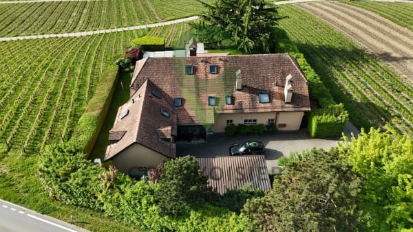 Immobilie in Mont-sur-rolle - BELLE DEMEURE VIGNERONNE AYANT DU POTENTIEL - Bild 1
