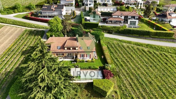 Immobilie in Mont-sur-rolle - BELLE DEMEURE VIGNERONNE AYANT DU POTENTIEL - Bild 2