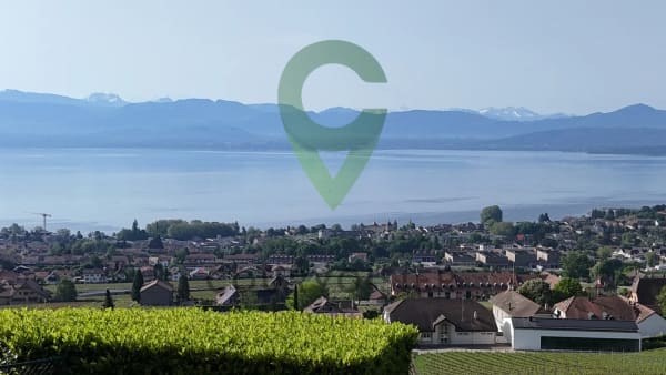 Immobilie in Mont-sur-rolle - BELLE DEMEURE VIGNERONNE AYANT DU POTENTIEL - Bild 3