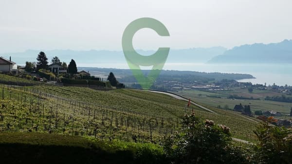 Immobilie in Mont-sur-rolle - BELLE DEMEURE VIGNERONNE AYANT DU POTENTIEL - Bild 4