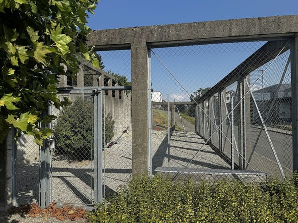 Immobilie in Schmitten Fr - Zeitlose Architektur trifft auf überraschende Wohnqualität - Bild 25