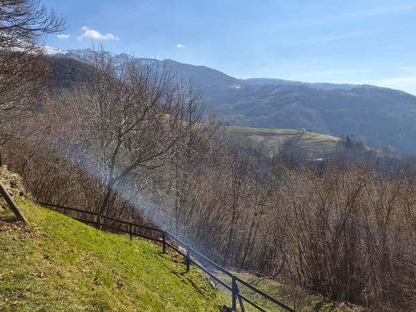Immobilie in Bogno - SchÃ¶nes Bauernhaus inmitten der Natur mit GrundstÃ¼ck - Bild 26