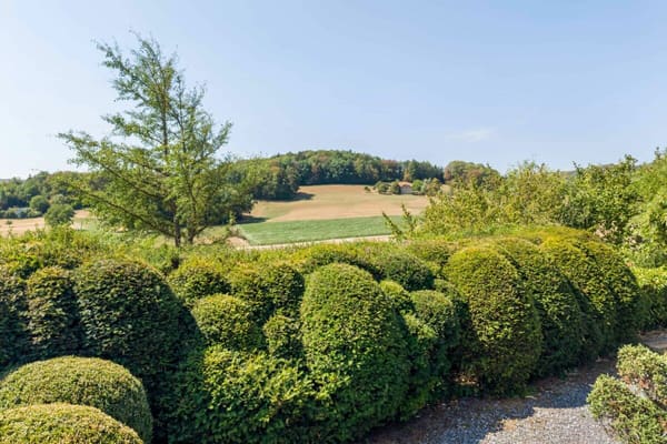 Immobilie in Lostorf - Einfamilienhaus-Bungalow mit exklusiver Gartenanlage und Gewerberaum mit separaten Aussenzugang! - Bild 14