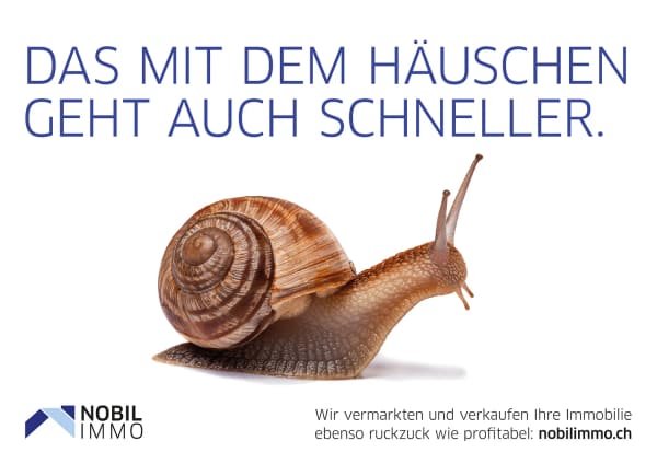 Immobilie in Rothenfluh - Familienfreundliche WohnfÃ¼hloase mit beeindruckender Aussicht - Bild 11