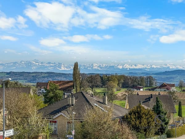 Immobilie in Raperswilen - Hochwertiges Neubau-Einfamilienhaus - niedrige Nebenkosten & durchdacht geplant - Bild 4