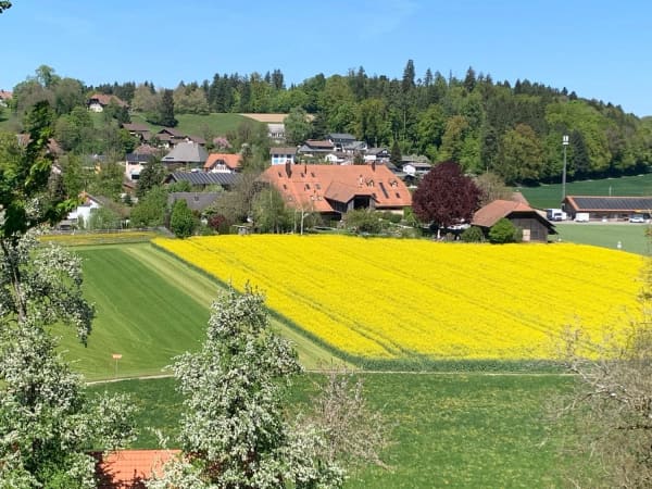 Immobilie in Seeberg - *** Tag der offenen TÃ¼r *** Grandios 228 m2! *** Stalderhof Seeberg! *** 105 m2 Wohn/Esszimmer! *** - Bild 2