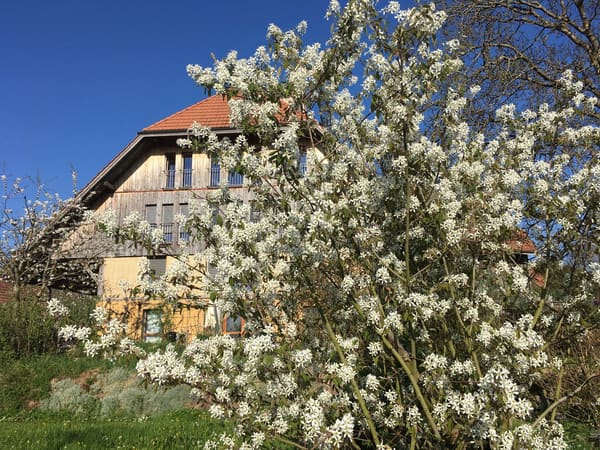 Immobilie in Seeberg - *** Tag der offenen TÃ¼r *** Grandios 228 m2! *** Stalderhof Seeberg! *** 105 m2 Wohn/Esszimmer! *** - Bild 3