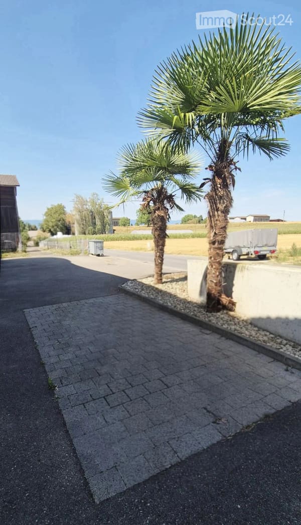 Immobilie in Corcelles-près-payerne - Appartement 4.5 pièces à Corcelles-près-Payerne. Vente directe par le propriétaire. - Bild 15