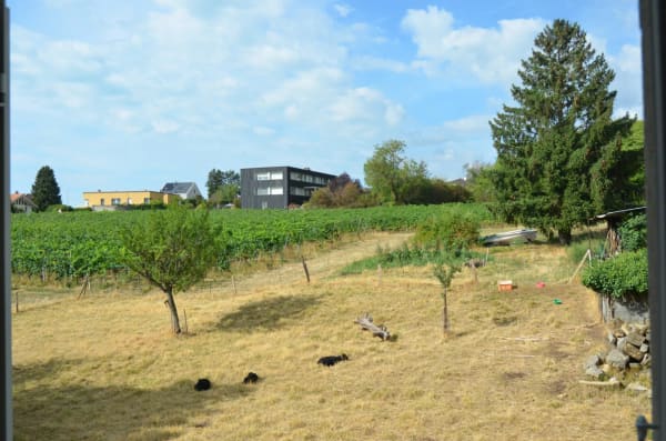 Immobilie in Hauterive Ne - Duplex de 5.5. pièces avec vue - Bild 11