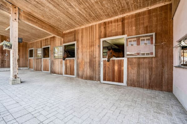 Immobilie in Braunau - Stall, Reitplatz und FÃ¼hranlage sowie Weiden direkt am Haus - Bild 1