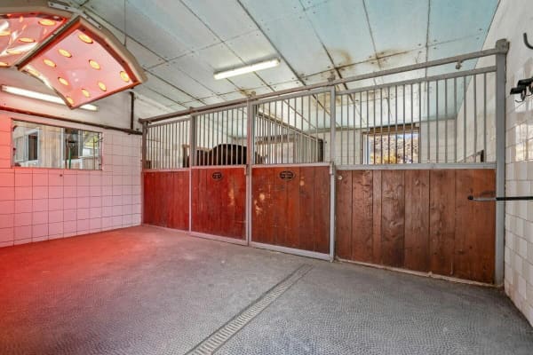 Immobilie in Braunau - Stall, Reitplatz und FÃ¼hranlage sowie Weiden direkt am Haus - Bild 2