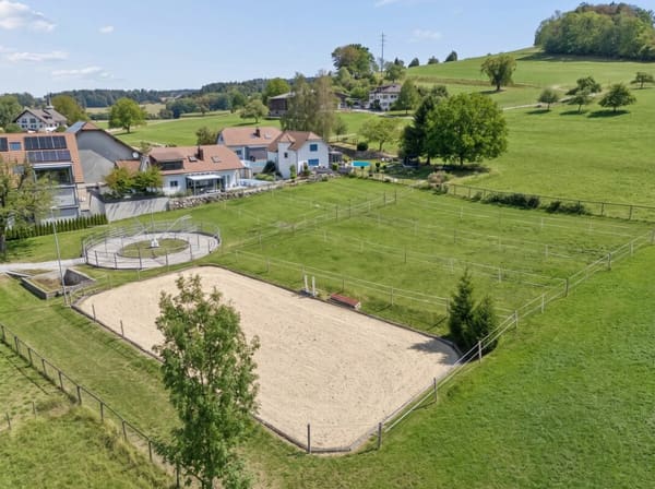 Immobilie in Braunau - Stall, Reitplatz und FÃ¼hranlage sowie Weiden direkt am Haus - Bild 3
