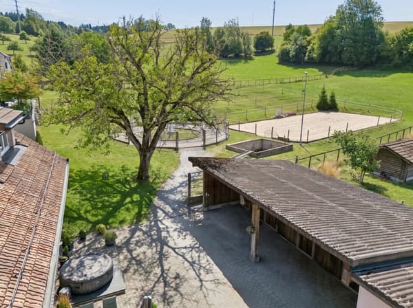 Immobilie in Braunau - Stall, Reitplatz und FÃ¼hranlage sowie Weiden direkt am Haus - Bild 8