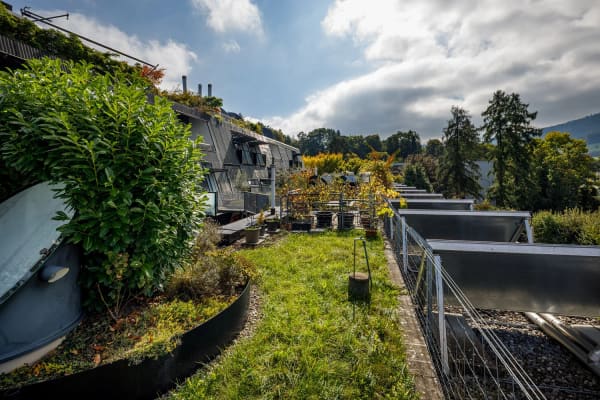 Immobilie in Adliswil - Grosse, moderne 6.5 Zimmer-Wohnung - Bild 9