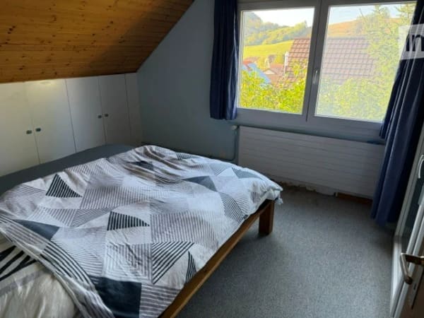 Immobilie in Wisen So - Charmantes 4.5-Zimmer-Einfamilienhaus in Wisen SO â€“ Sofort verfÃ¼gbar! - Bild 35